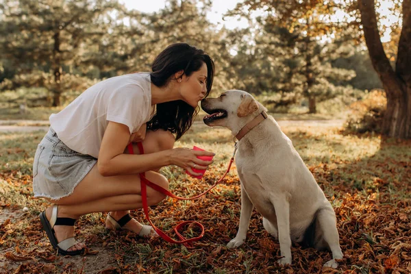 Beautiful Happy Young Woman Kissing Her Dog Outdoors — Stock Photo, Image