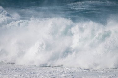 Hint Okyanusu kıyısındaki Robberg Doğa Rezervi, Plettenberg Körfezi, Güney Afrika