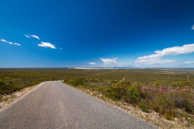 Fynbos bitki örtüsünden geçen sokak manzarası De Hoop doğa Hint Okyanusu kıyısında kum tepeleri ile korunuyor, Güney Afrika gökyüzüne karşı