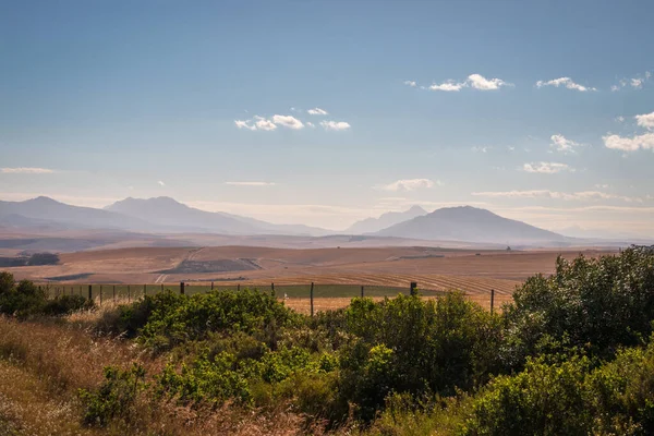 Naturskön Utsikt Över Landskapet Vid Overberg Distriktet Längs Kleinriver Dalen — Stockfoto