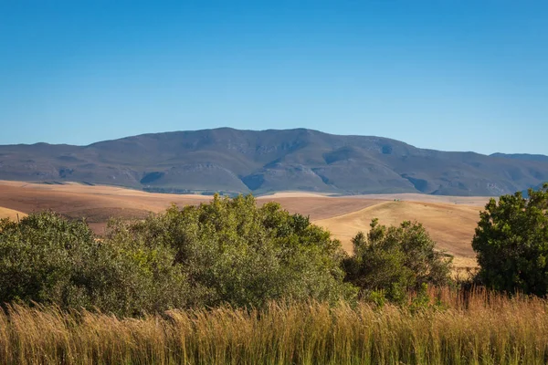 Naturskön Utsikt Över Landskapet Vid Overberg Distriktet Längs Kleinriver Dalen — Stockfoto