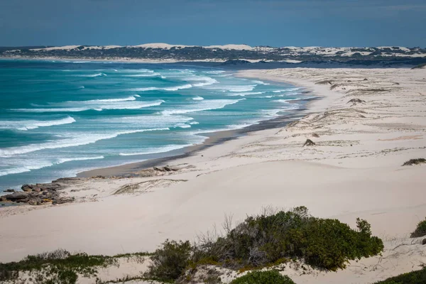 Scenic View Sand Dunes Beach Beautiful Hoop Nature Reserve Indian — Stock Photo, Image