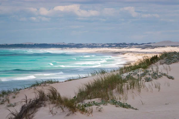 Scenic View Sand Dunes Beach Beautiful Hoop Nature Reserve Indian — Stock Photo, Image