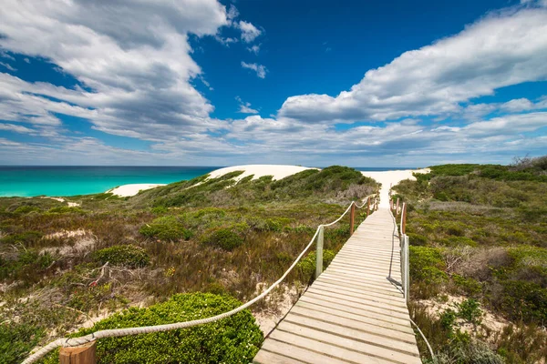 Scenic View Wooden Footpath Walkway Leading Sand Dunes Fynbos Vegetation — Stock Photo, Image