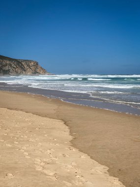 Güney Afrika, Nature Valley 'deki kumsalın manzarası..
