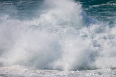Hint Okyanusu kıyısındaki Robberg Doğa Rezervi, Plettenberg Körfezi, Güney Afrika