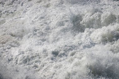 Hint Okyanusu kıyısındaki Robberg Doğa Rezervi, Plettenberg Körfezi, Güney Afrika