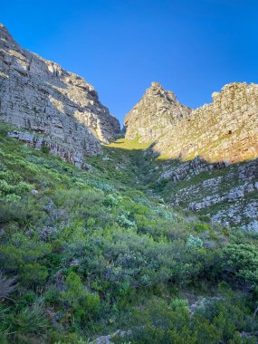 Low angle view of Platteklipp Gorge hiking trail at Table Mountain, Cape Town, South Africa early in the morning against blue sky