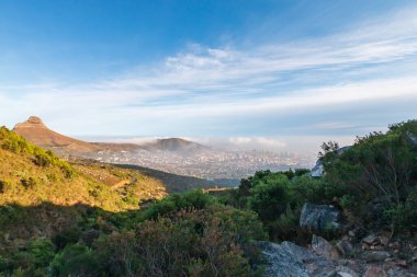Scenic view of Cape Town, South Africa from Platteklip Gorge hiking trail at Table Mountain with Lions Head in the morning against blue sky with clouds