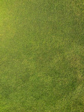 Full frame vertical shot of green lawn in a stadium