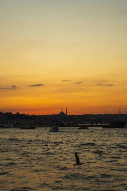 İstanbul üzerinde altın gün batımı, İstanbul Boğazı 'ndan Türkiye, Galata Köprüsü aydınlandı ve silueti ufuk çizgisinde Fatih Camii' nin; kayıklar ve dalgalı suyun üzerinde uçan martı