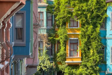 Balat, İstanbul, Türkiye cephesinde sarmaşıklı renkli tarihi evler