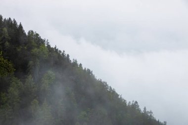 Alçak bulutlar, sis ve yağmur, İtalya 'nın Güney Tyrol kentindeki fotokopi alanında sessiz, kasvetli bir dağ yamacına sürükleniyor.