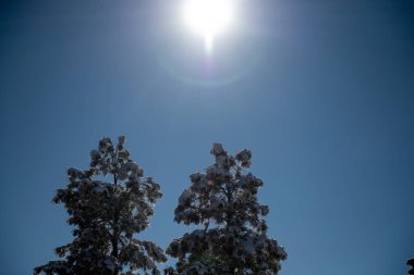 Doğanın güzel manzarası