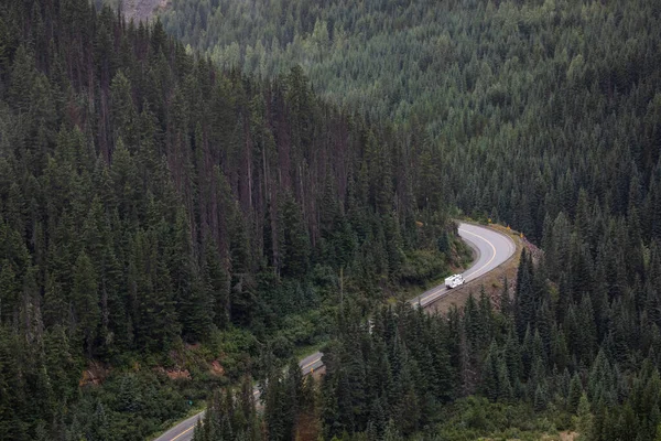 Road Forest Foggy Day — Stock Photo, Image