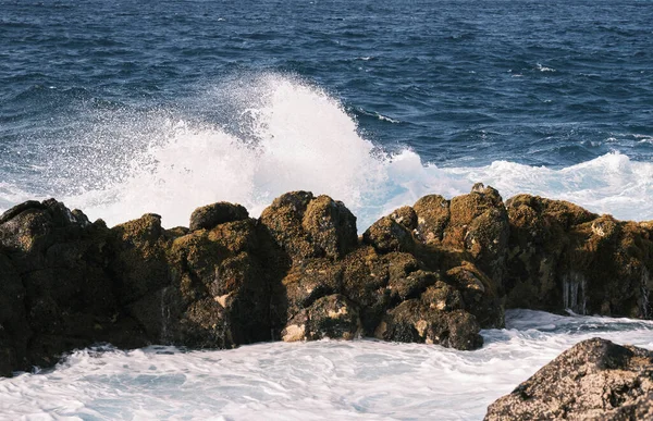 海の海岸の美しい景色 — ストック写真