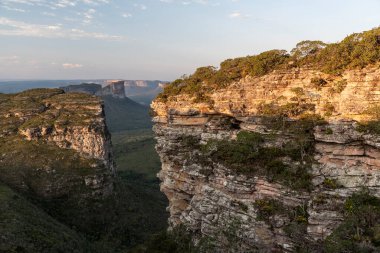 Yeşil Cerrado manzarasında kayalık düz dağlara güzel bir manzara