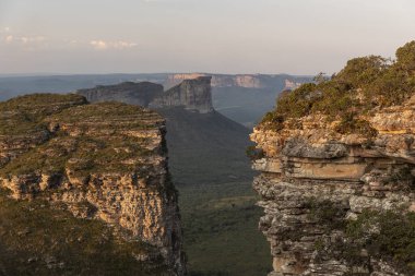Yeşil Cerrado manzarasında kayalık düz dağlara güzel bir manzara