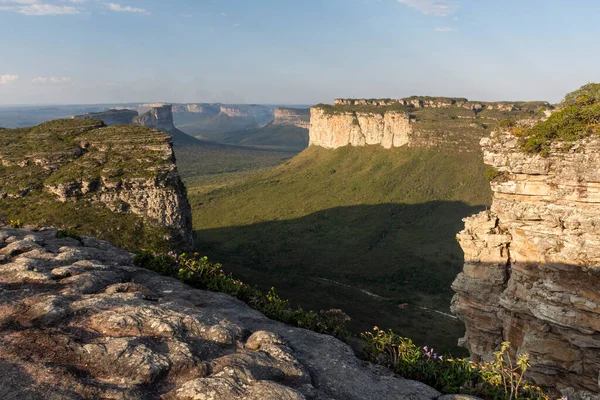 Yeşil Cerrado manzarasında kayalık düz dağlara güzel bir manzara