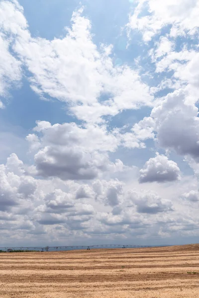 Bela Paisagem Plantação Com Nuvens Brancas Céu — Fotografia de Stock