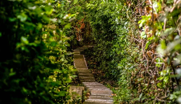 Stone Step Arch Leaves — Stock Photo, Image