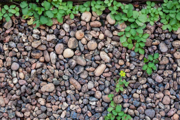 Pebble Stones Bricks Abstract Background Stock Photo — Stock Photo, Image