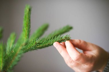 Kadın bir çam dalına dokunuyor.