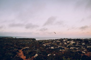 Güzel deniz manzarası ve gökyüzü