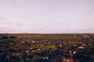 Doğanın güzel manzarası