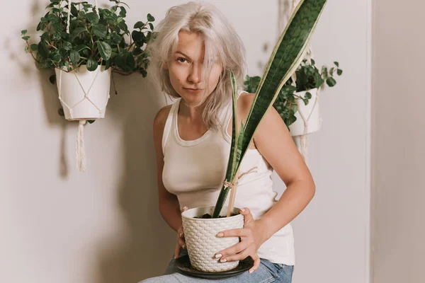 Meisje Houdt Witte Pot Met Syngonium Plant Stadsjungle Concept — Stockfoto