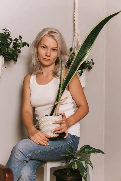 Meisje Houdt Witte Pot Met Syngonium Plant Stadsjungle Concept — Stockfoto