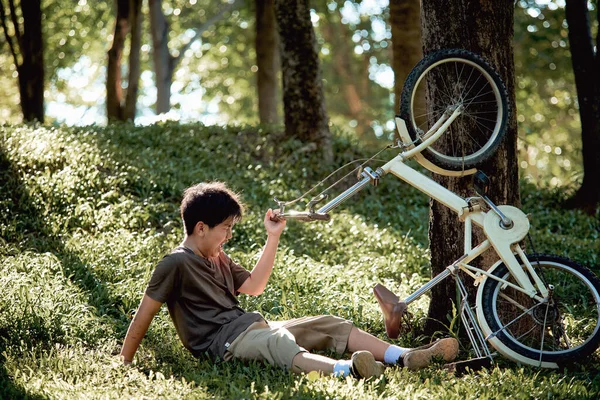Menino Caindo Bicicleta Floresta — Fotografia de Stock