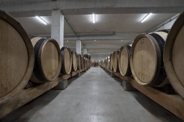 Yeraltı mahzeninde yıllandırılmak üzere kırmızı şarap dolu fıçılarla dolu.