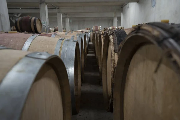 Muitos Barril Madeira Vinho Alinhado Empilhado Fileiras Uma Adega Francesa — Fotografia de Stock