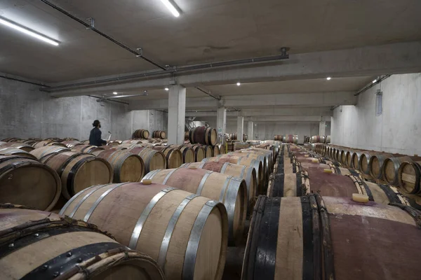 Wijnkelder Vol Houten Vaten Een Wijnboerderij Een Man Achtergrond — Stockfoto