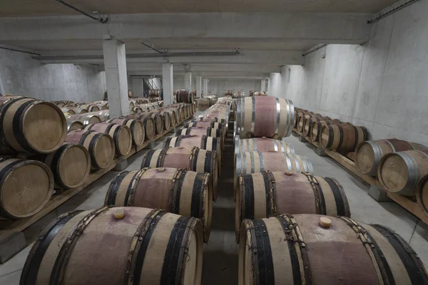 Wijnvaten Nieuw Gebouwde Kelder Wereldberoemde Wijngaard — Stockfoto
