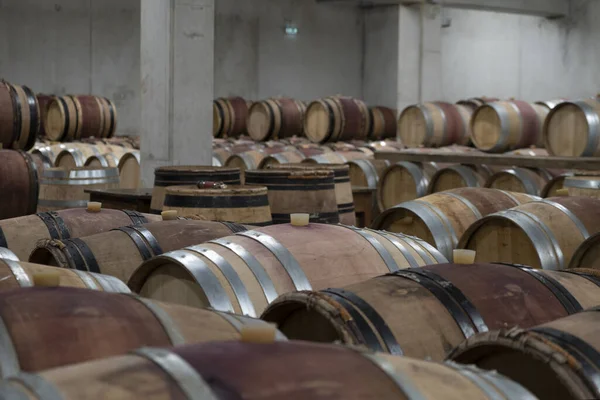 Ξύλινα Βαρέλια Κρασιού Ευθυγραμμισμένα Στο Κελάρι Μπορντό Γαλλία — Φωτογραφία Αρχείου
