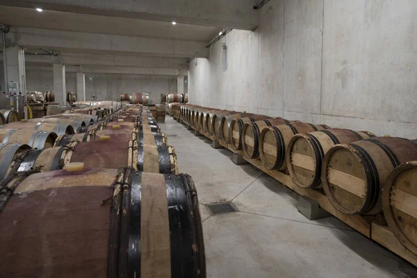Fila Barril Uma Enorme Adega Concreto Europa Envelhecimento Produção Vinho — Fotografia de Stock