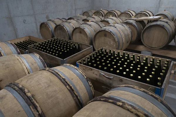 Rijen Wijnvaten Een Kelder Beroemde Franse Champagne — Stockfoto