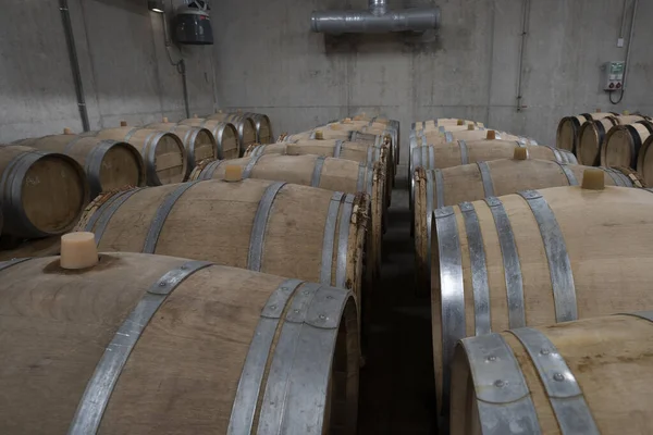 Barril Carvalho Cheio Vinho Uma Adega Champagne França — Fotografia de Stock