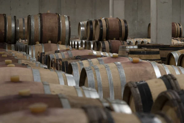 装满木制橡木桶 存放陈酿葡萄酒 — 图库照片