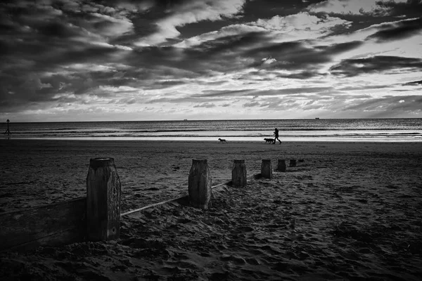 美しい海の景色 — ストック写真