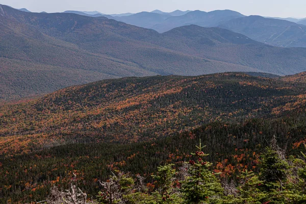 Autumn Landscape Trees Mountains — Stock Photo, Image