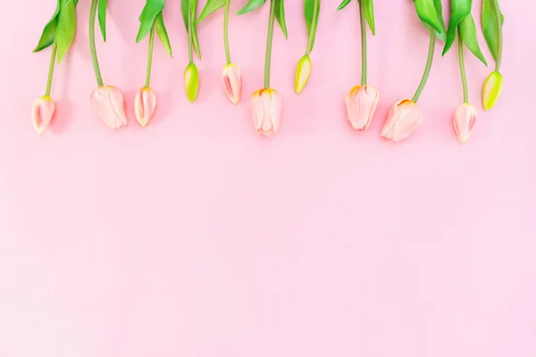 Composizione San Valentino Fiori Tulipano Sfondo Rosa San Valentino Concetto — Foto Stock