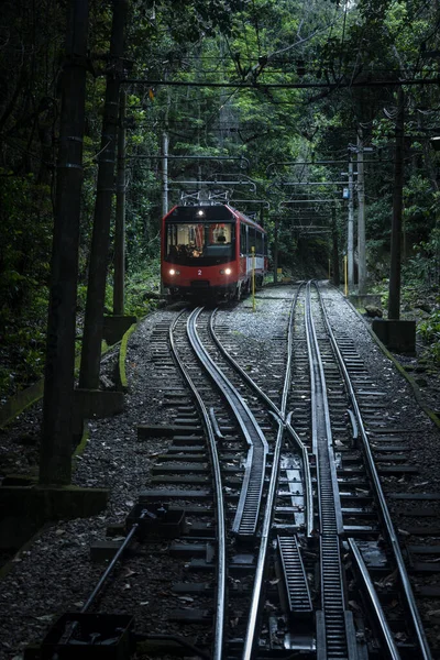 Beautiful view to red train on green rainforest tracks to Christ the Redeemer Statue, Tijuca Forest, Rio de Janeiro, Brazil