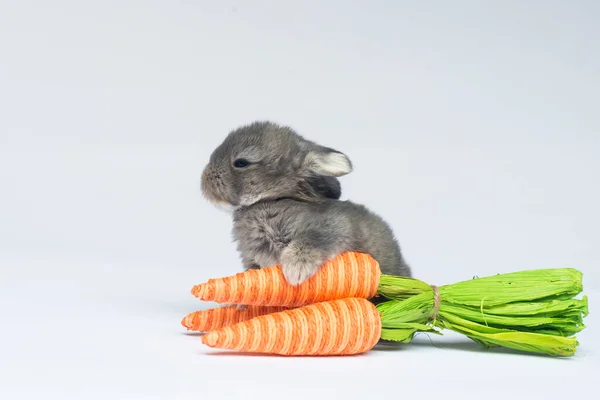 Rabbit Basket Carrot Green Peas White Background — Stock Photo, Image