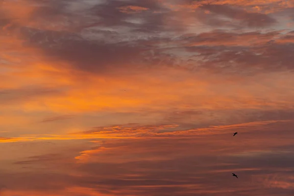 雲に包まれた美しい夕日の空 — ストック写真