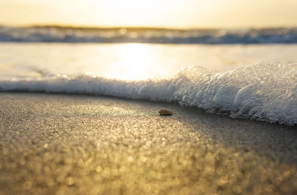 Belle Plage Sable Fin Avec Coquille Mousse Mer Vagues — Photo