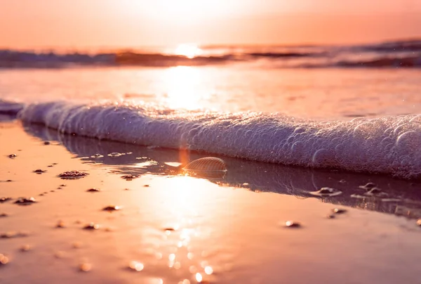 Güzel Egzotik Tatil Köyü Sandy Tropikal Plajı — Stok fotoğraf