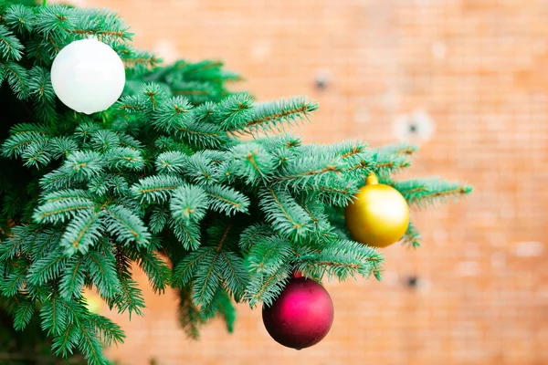 Feliz Navidad Feliz Año Nuevo Concepto — Foto de Stock